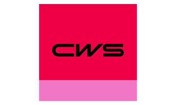 CWS - Create an Enticing Logo Display Website.CWS